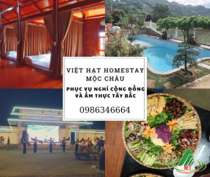 Homestay Việt Hạt Mộc Châu - nhà nghỉ cộng đồng sang trọng bậc nhất Mộc Châu