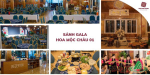 Nhà hàng Hoa Mộc Châu  - không gian tiệc hàng đầu xứ Mộc