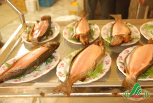 Cá hồi Mộc Châu