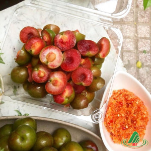 Hái mận Mộc Châu