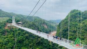 [CỰC HOT] Cầu kính Mộc Châu Island  ở Mộc Châu là đường đi bộ bằng kính dài trên 600m