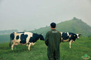 Cuộc thi  “Thảo nguyên - Câu chuyện tôi kể” và  “Mộc Châu - Miền đất diệu kỳ” 
