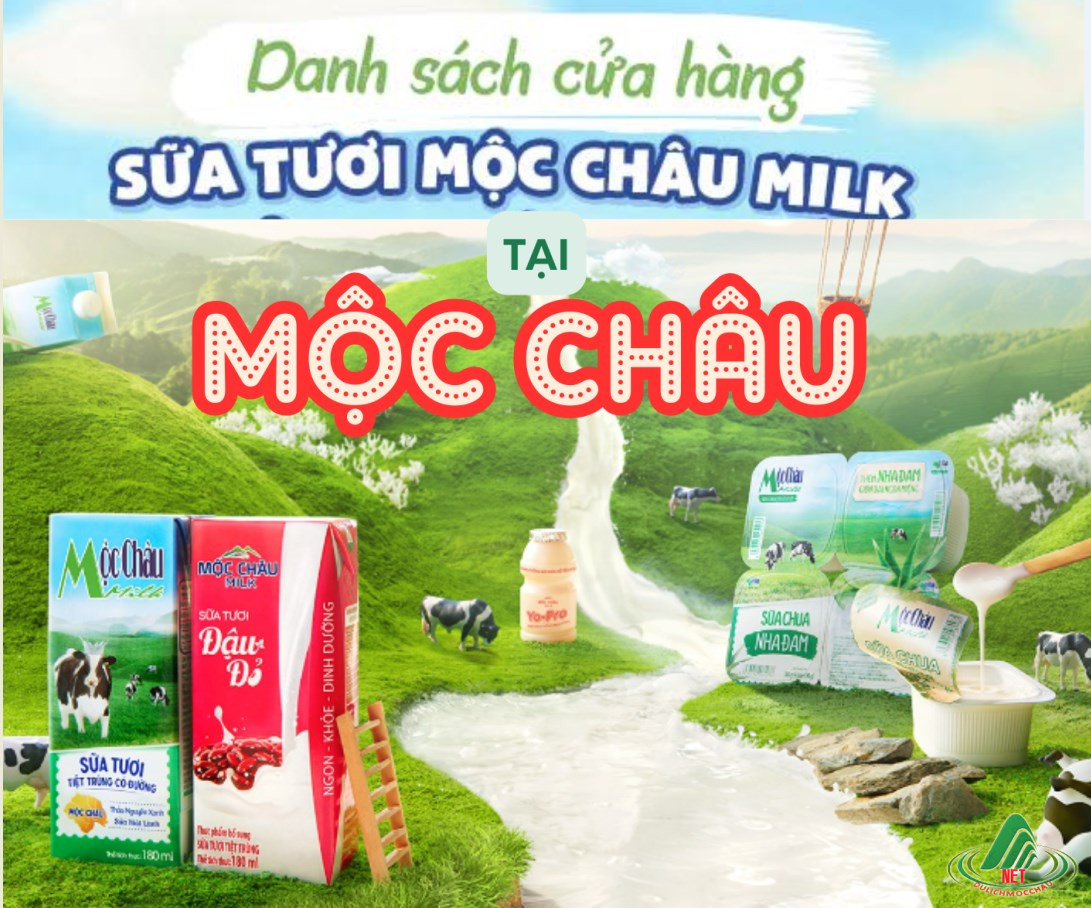 HỆ THỐNG CỬA HÀNG SỮA MỘC CHÂU MILK TẠI MỘC CHÂU