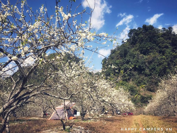 Lên Mộc Châu cắm trại giữa mùa thập lý hoa đào