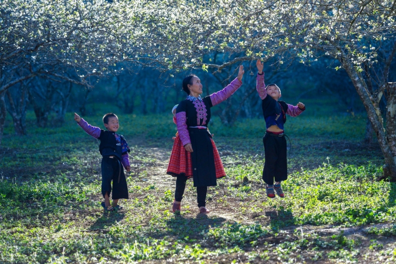Mùa hoa mận trắng của người Mông bản Phiêng Cành - Ảnh 4.