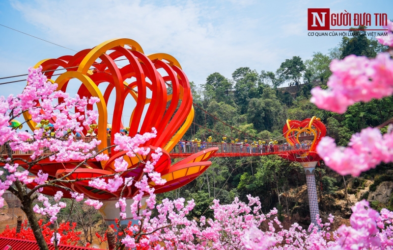 Tin nhanh - Hàng trăm du khách hào hứng tham quan cầu kính đầu tiên tại Việt Nam