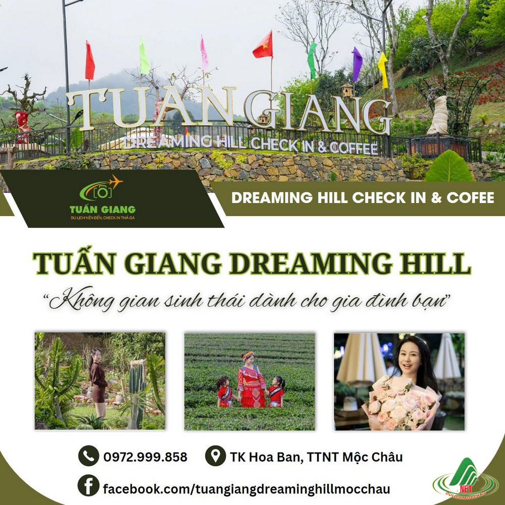 tuan giang dreaming hill (1)