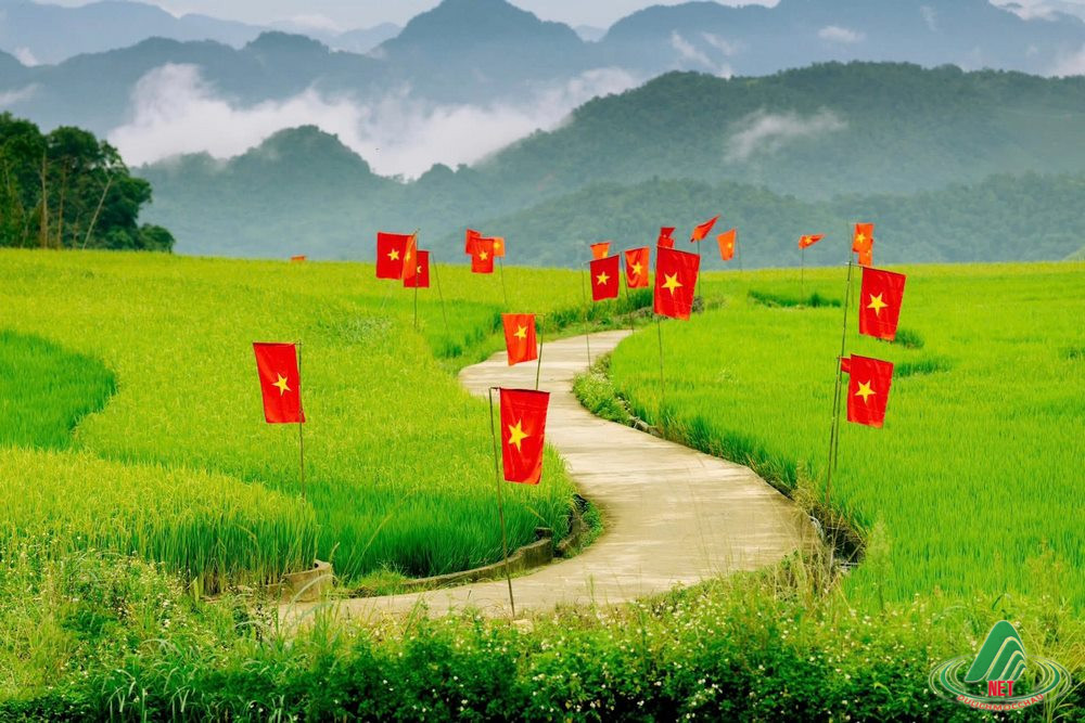 dong lua suoi lin van ho (1)