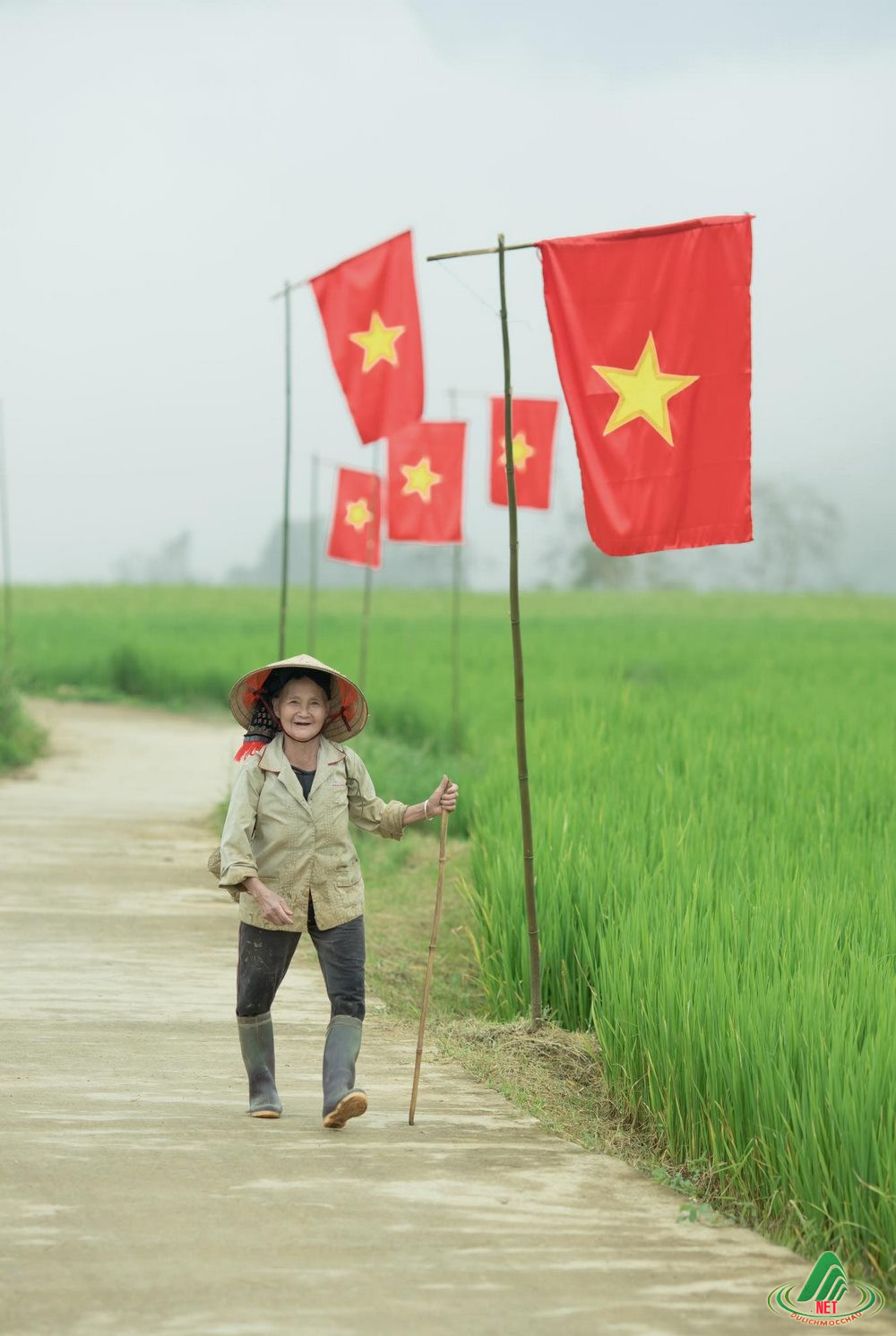 dong lua suoi lin van ho (12)