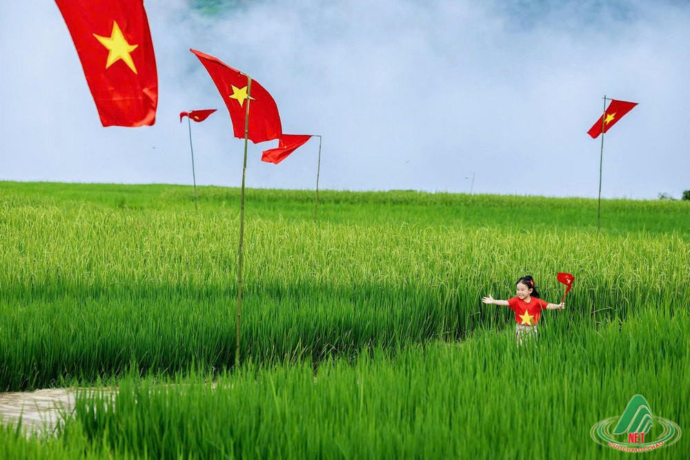 dong lua suoi lin van ho (6)