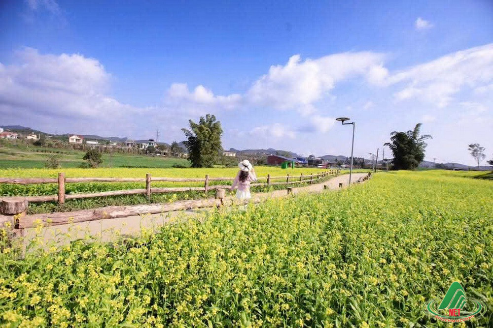 Tất tật về: Lỏi Tươi Farm Mộc Châu- tọa độ sống ảo "Hot" nhất